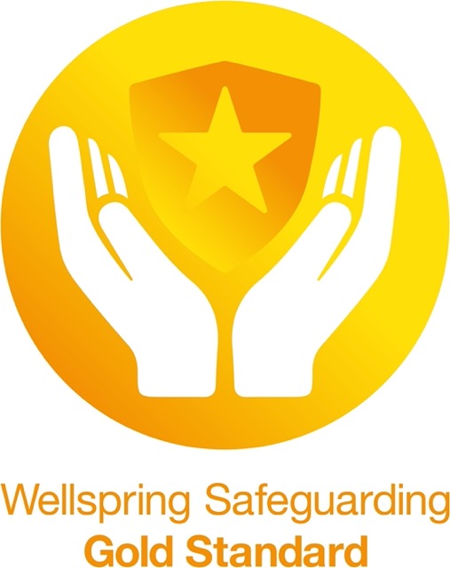 Wellspring Gold Standard Badge (large) (3) Medium